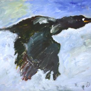 in the morning light